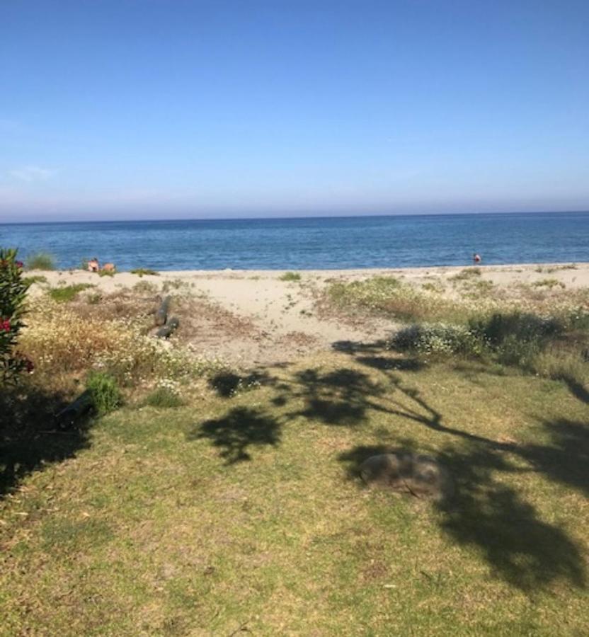 Studio Cala Sognu Moriani Residence San-Nicolao Esterno foto